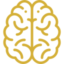 cerveau (2)